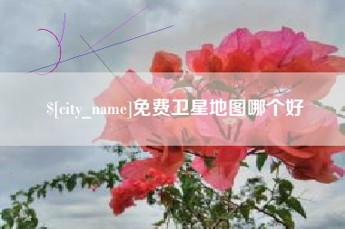 衡东免费卫星地图哪个好