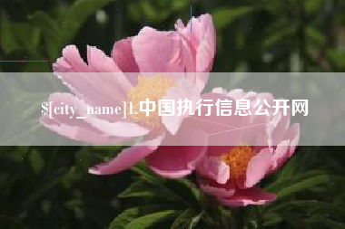 衡东1.中国执行信息公开网