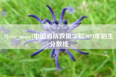 衡东中国消防救援学院2024年招生分数线