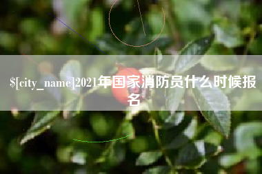 衡东2021年国家消防员什么时候报名
