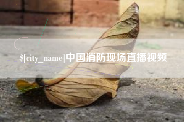 衡东中国消防现场直播视频