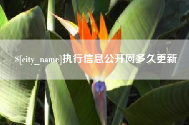 衡东执行信息公开网多久更新