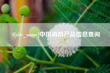 衡东中国消防产品信息查询