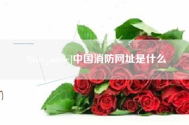 衡东中国消防网址是什么