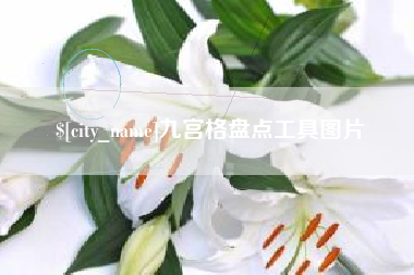 衡东九宫格盘点工具图片