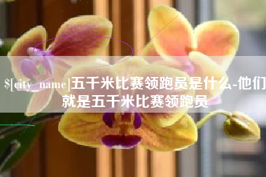 衡东五千米比赛领跑员是什么-他们就是五千米比赛领跑员