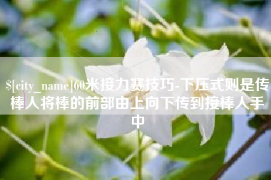 衡东60米接力赛技巧-下压式则是传棒人将棒的前部由上向下传到接棒人手中