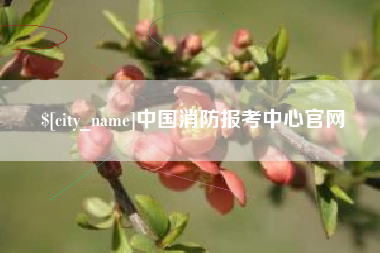 衡东中国消防报考中心官网