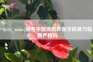 衡东报考中国消防救援学院视力检查严格吗