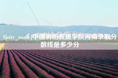 衡东中国消防救援学院河南录取分数线是多少分