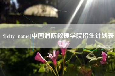 衡东中国消防救援学院招生计划表