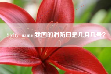 衡东我国的消防日是几月几号？