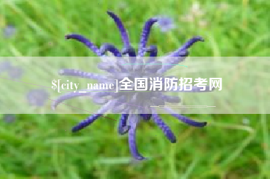 衡东全国消防招考网