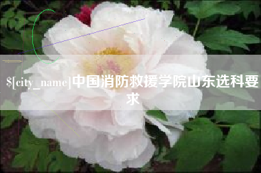 衡东中国消防救援学院山东选科要求