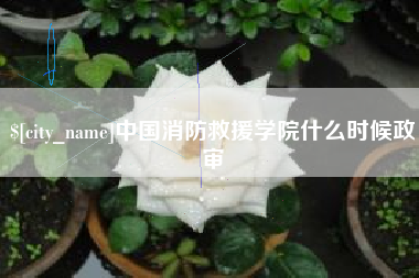 衡东中国消防救援学院什么时候政审