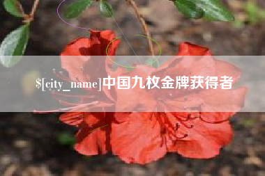衡东中国九枚金牌获得者