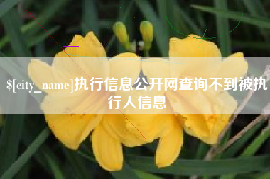衡东执行信息公开网查询不到被执行人信息