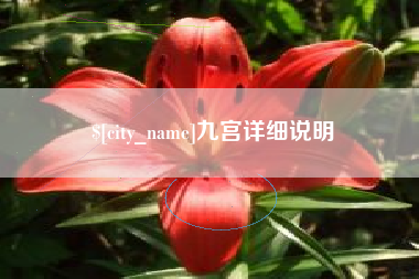 衡东九宫详细说明