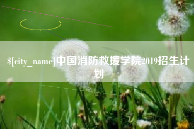 衡东中国消防救援学院2019招生计划
