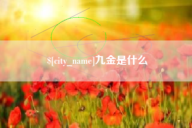 衡东九金是什么