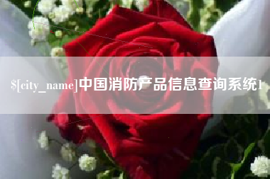 衡东中国消防产品信息查询系统1