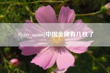 衡东中国金牌有几枚了