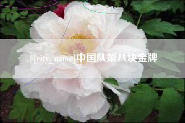 衡东中国队第八块金牌