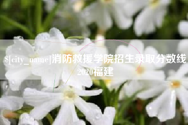衡东消防救援学院招生录取分数线2020福建