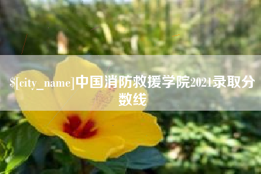 衡东中国消防救援学院2021录取分数线