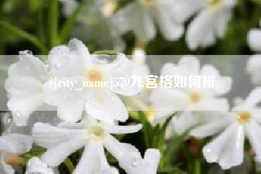 衡东579九宫格如何排