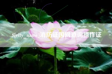 衡东消防证国网查询操作证