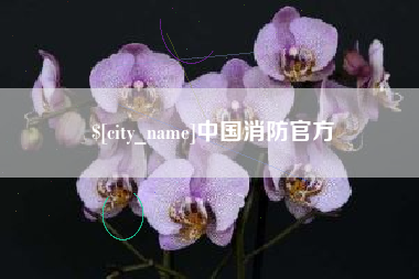 衡东中国消防官方