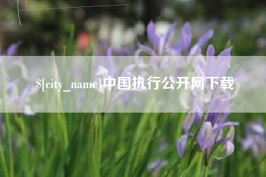 衡东中国执行公开网下载