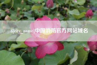 衡东中国消防官方网站域名
