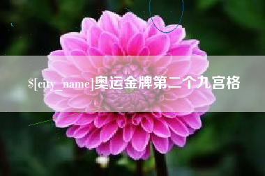 衡东奥运金牌第二个九宫格