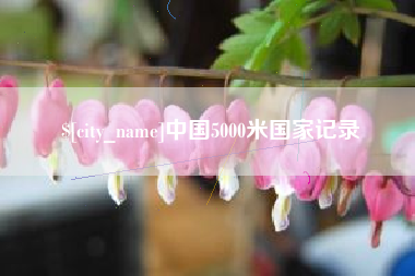 衡东中国5000米国家记录