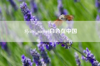 衡东白色在中国