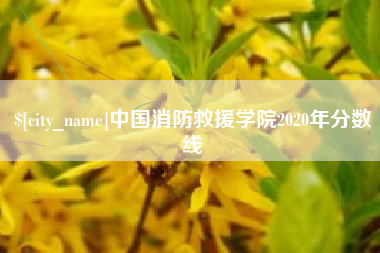 衡东中国消防救援学院2020年分数线