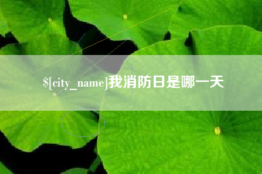 衡东我消防日是哪一天