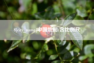 衡东中国地图(含比例尺)