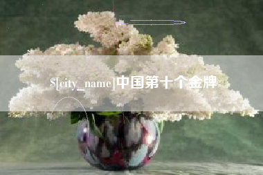衡东中国第十个金牌