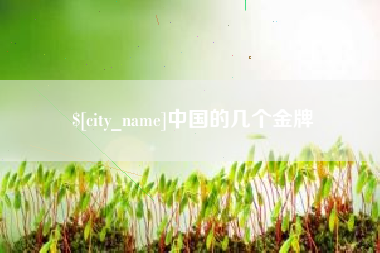 衡东中国的几个金牌
