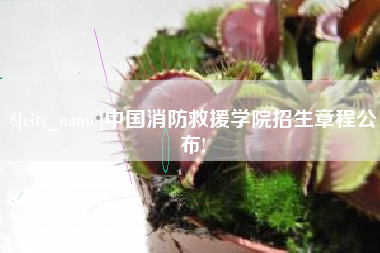 衡东中国消防救援学院招生章程公布!
