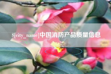 衡东中国消防产品质量信息