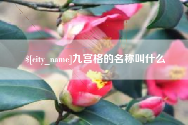 衡东九宫格的名称叫什么