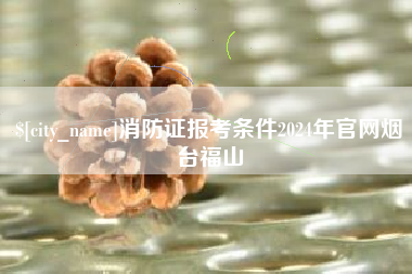 衡东消防证报考条件2024年官网烟台福山
