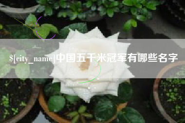 衡东中国五千米冠军有哪些名字