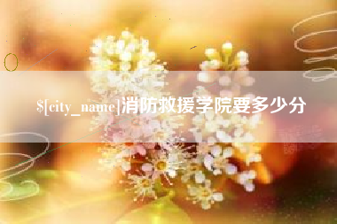 衡东消防救援学院要多少分
