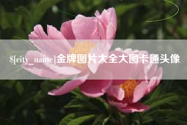 衡东金牌图片大全大图卡通头像