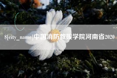 衡东中国消防救援学院河南省2020